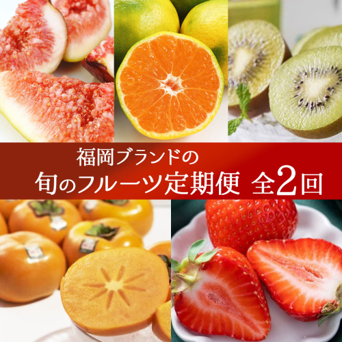 ＜2回定期便＞福岡ブランドの旬のフルーツ定期便 (篠栗町)｜イチジク ミカン キウイ 柿 イチゴ【NF022】 2777602 - 福岡県篠栗町