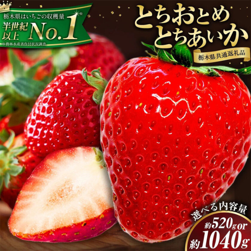 【先行予約】いちご 栃木県 とちおとめ とちあいか 選べる食べ比べ  内容量 2パック 520g 4パック 1040g 《1月中旬-4月末頃出荷予定》 栃木県 野木町 イチゴ 苺 とちおとめ とちあいか 食べ比べ 果物 フルーツ ハート型 ジューシー【配送不可地域あり】(沖縄・離島) 2777662 - 栃木県野木町