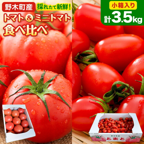 トマト 小箱 約2kg + ミニトマト 小箱 約1.5kg 食べ比べ 栃木県 野木町産 矢畑むらづくり組合 《2026年11月上旬-2027年3月末頃出荷予定》栃木県 野木町 トマト ミニトマト 野菜 新鮮 2777667 - 栃木県野木町