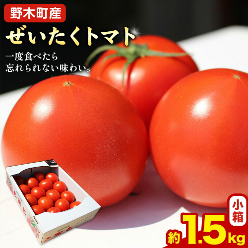 トマト ぜいたくトマト 約1.5kg 小箱 栃木県 野木町産 矢畑むらづくり組合 《2026年11月上旬-2027年3月末頃出荷予定》栃木県 野木町 トマト 野菜 新鮮 2777668 - 栃木県野木町