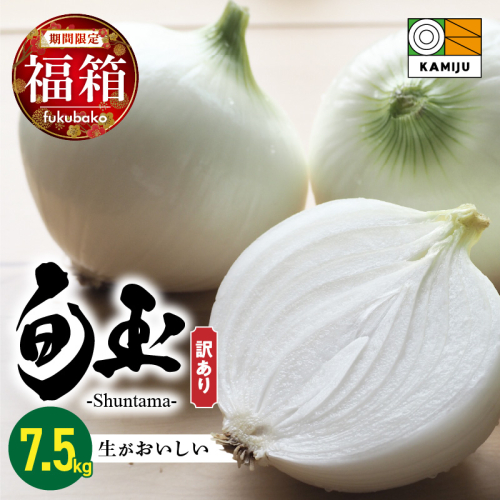 【福箱★2027】 訳あり 新玉ねぎ 旬玉 7.5kg 生がおいしい神重農産のブランド玉ねぎ H105-275 2777669 - 愛知県碧南市