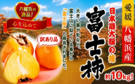 【先行受付】【訳あり品です】甘さにニッコリ・なめらか食感！日本最大級の柿！「富士柿」約10キロ【39-89】柿 かき 富士柿 フルーツ カキ 訳アリ 訳有 果物 5kg 10kg 愛媛県 八幡浜市 YWTF064
