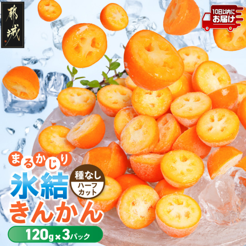 まるかじり氷結きんかん＜種なしハーフカット＞3パック≪みやこんじょ特急便≫_11-J7-004-3-Q 2778208 - 宮崎県都城市