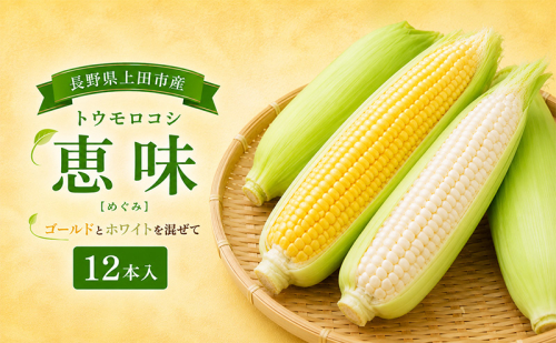 トウモロコシ　12本入　(恵味) とうもろこし ゴールド ホワイト 野菜 信州 長野 上田市 2778231 - 長野県上田市