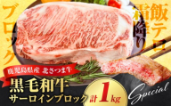 北さつま牛 サーロインブロック　K137-007
