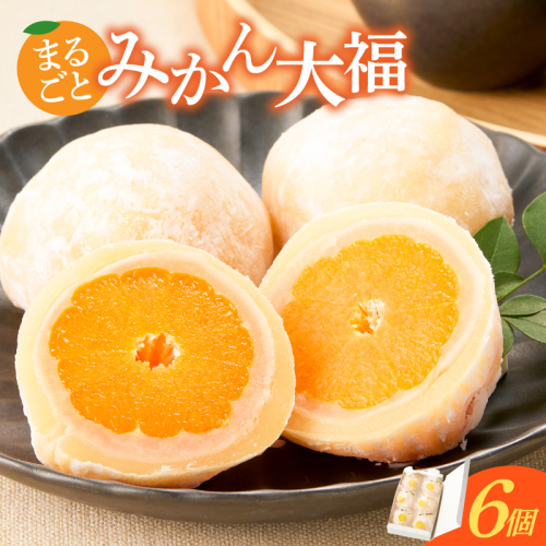 みかん大福　6個入り【贈答・熨斗対応】 ［009B15］ 2778398 - 愛知県小牧市