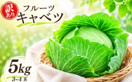 訳あり キャベツ 朝採れ 希少品種 フルーツキャベツ 約 5kg 3~4玉 旬の野菜 予約受付 事前予約 サラダ 生野菜 ロールキャベツ 煮物 焼きそば お好み焼き 千切り トンカツ キャベツ ふるさと納税 ふるさと納税キャベツ kyabetu 送料無料 茨城県 鹿嶋市 【2026年11月以降順次発送】