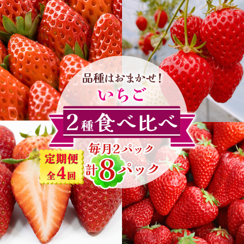 [定期便／全4回] いちご 2種 (2パック) 食べ比べセット 毎月お届け 12月から3月発送｜苺 イチゴ 果物 フルーツ 産地直送  [3373] 2778780 - 奈良県香芝市