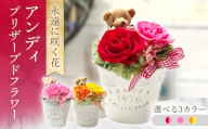 【ピンク】アンディ　プリザーブドフラワー アレンジメント お花ギフト / 大村市 サニーサイドファクトリー [ACCK051]