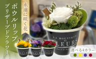 【キウイホワイトグリーン】ポウルリップ プリザーブドフラワー アレンジメント お花ギフト / 大村市 サニーサイドファクトリー [ACCK050]