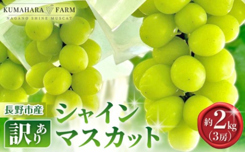 熊原果樹園　【訳あり】長野市シャインマスカット　約2kg（3房） | シャインマスカット ぶどう 葡萄 フルーツ 果物 大粒 秀品 長野市産  松代 人気 おすすめ デザート 送料無料 長野県 長野市 信州 信濃 ふるさと納税 2778878 - 長野県長野市