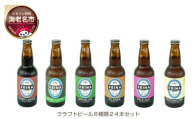 クラフトビール EBINA BEER 6種類 24本セット 【酒 飲み比べ 詰合せ ビール 瓶ビール エビナラガー ピルスナー ダークラガー ペールエール 神奈川県 海老名市】