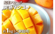 【2023年発送】沖縄県糸満産！妃菜フルーツ完熟マンゴー約1kg（ご家庭用）