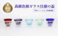 高級色被ガラス仕様の盃【デザイン＝甲州葡萄棚】青、赤、グレー、緑、水色の5色セット