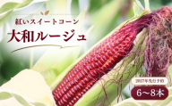 【2027年先行予約】紅いスイートコーン 大和ルージュ (6～8本) 山梨県都留市産  ｜ 希少な赤いとうもろこし 甘い スイートコーン トウモロコシ 産地直送 送料無料【浅田農園】