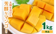 【2024年発送】沖縄の太陽を浴びた芳醇なマンゴー 1kg（秀品）