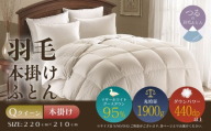 【クイーン】【本掛け】羽毛掛けふとん　プレミアム（220cm×210cm）｜ダウン　羽毛　本がけ　本かけ　ダウンパワー４４０　ホワイトマザーグースダウン