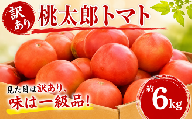 訳あり 桃太郎 トマト 約6kg 【 2027年 先行予約 】 野菜 やさい 果物 とまと tomato 訳アリ 甘い リコピン トマト フルーツ 産地直送 国産 数量限定 期間限定 限定 農家直送 鮮度 新鮮 フレッシュ 土耕栽培 栽培 健康 栄養 ビタミンC お弁当 サラダ 鴨志田農園 神奈川 海老名