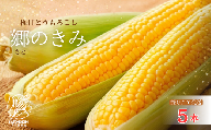 【三つ星フレンチの食材に選ばれたとうもろこし】「郷のきみ」5本【期間限定・数量限定】