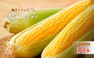 【三つ星フレンチの食材に選ばれたとうもろこし】「郷のきみ」10本【期間限定・数量限定】