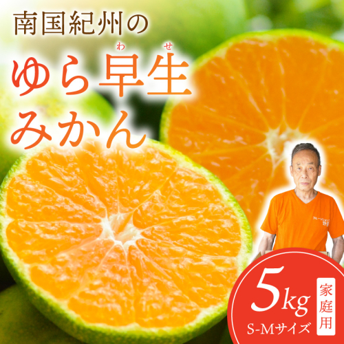 南国紀州のゆら早生みかん≪先行予約≫【配送不可地域：離島】 2781159 - 和歌山県御坊市