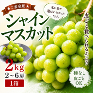 ★ご家庭用★シャインマスカット 2kg 2～6房 1箱 見た目で選ばれなかっただけ。食べれば、きっと選びたくなる。皮ごと食べられるぶどう 大容量 種無しぶどう 山形  FY26-250