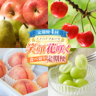 【定期便4回】ノノハナフルーツ 笑顔花咲く 食べ切り定期便  FY26-232