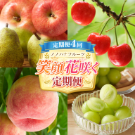 【定期便4回】ノノハナフルーツ 笑顔花咲く定期便 FY26-233
