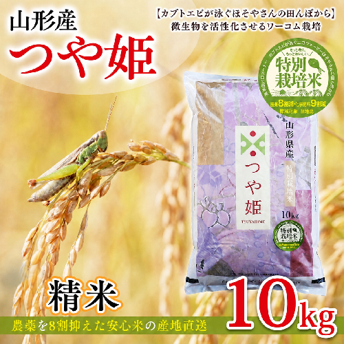 令和7年度産 山形産 「つや姫」10kg (精米) 特別栽培米 8割減農薬・9割減化学肥料（当地比）【カブトエビが泳ぐほそやさんの田んぼから】微生物を活性化させるワーコム栽培 FY26-269 2781219 - 山形県山形市