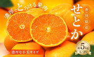 【3月3日までの期間限定！】濃厚でとろける果肉「せとか」(より濃厚な小玉サイズ) 約5kg 香川県産 国産 フルーツ 果物