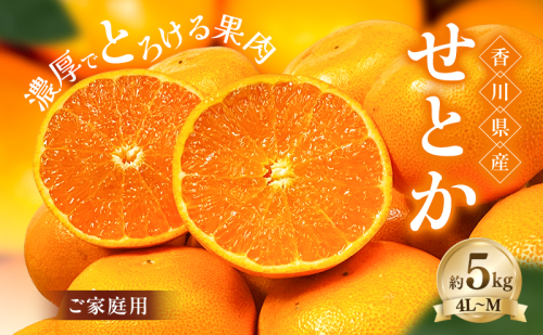【3月3日までの期間限定！】濃厚でとろける果肉「せとか」(ご家庭用) 約5kg 香川県産 国産 フルーツ 果物 2781278 - 香川県土庄町