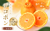 【3月3日までの期間限定！】甘みと酸味の共演・濃厚「デコポン」(ご家庭用) 約5kg 香川県産 国産 フルーツ 果物