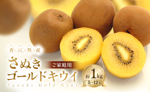 ご家庭用 さぬきゴールド キウイ 約1kg 香川県産 国産 フルーツ 果物 2781281 - 香川県土庄町