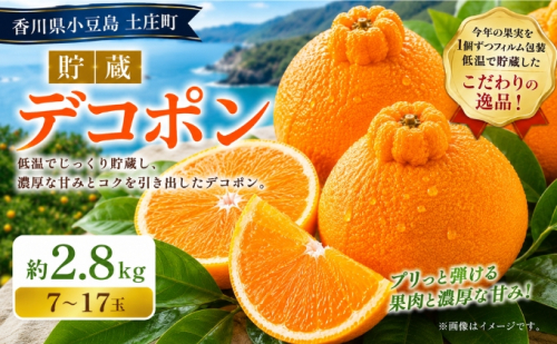 【県共通返礼品】貯蔵デコポン  約2.8kg デコポン フルーツ 果物 香川県 土庄町 2781315 - 香川県土庄町