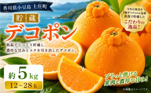 【県共通返礼品】貯蔵デコポン   約5kg デコポン フルーツ 果物 香川県 土庄町 2781317 - 香川県土庄町