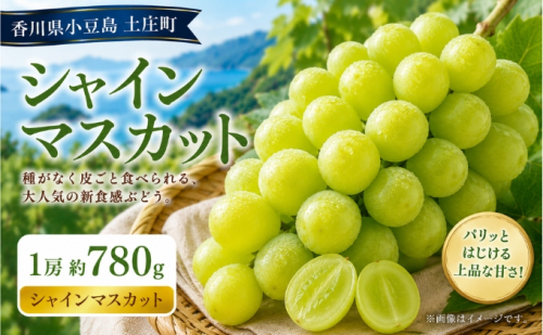 シャインマスカット  1房 約780g マスカット フルーツ 果物 香川県 土庄町 2781323 - 香川県土庄町