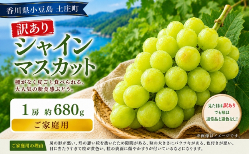 訳あり シャインマスカット  1房 約680g マスカット フルーツ 果物 香川県 土庄町 2781327 - 香川県土庄町