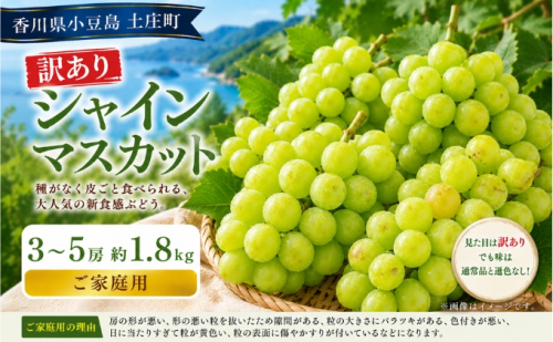 訳あり シャインマスカット  3～5房 約1.8kg マスカット フルーツ 果物 香川県 土庄町 2781330 - 香川県土庄町