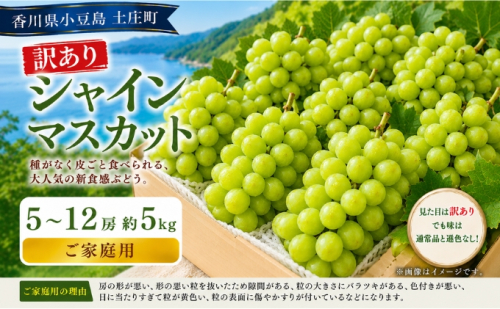 訳あり シャインマスカット  5～12房 約5kg マスカット フルーツ 果物 香川県 土庄町 2781334 - 香川県土庄町
