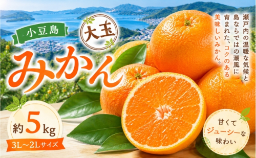 小豆島 みかん 大玉  約5kg フルーツ 果物 香川県 土庄町 2781339 - 香川県土庄町