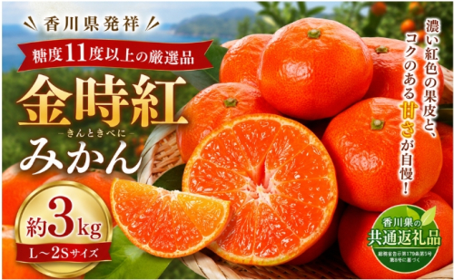 金時紅みかん  約3kg フルーツ みかん 果物 香川県 土庄町 2781347 - 香川県土庄町