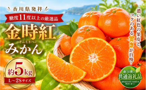 金時紅みかん  約5kg フルーツ みかん 果物 香川県 土庄町 2781350 - 香川県土庄町
