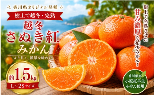 越冬さぬき紅みかん  約1.5kg  みかん フルーツ 果物 香川県 土庄町 2781352 - 香川県土庄町