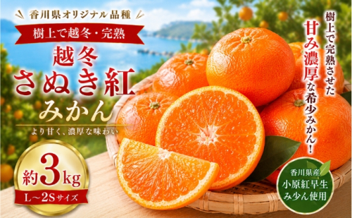 越冬さぬき紅みかん  約3kg みかん フルーツ 果物 香川県 土庄町 2781355 - 香川県土庄町