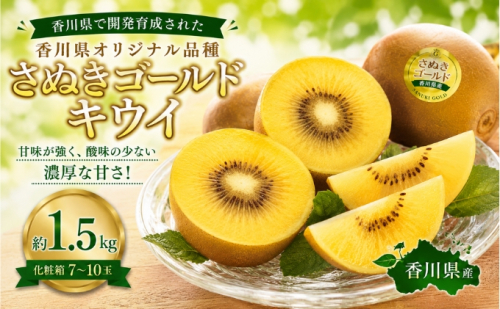 さぬきゴールドキウイ  約1.5kg 化粧箱 キウイ フルーツ 果物 香川県 土庄町 2781358 - 香川県土庄町