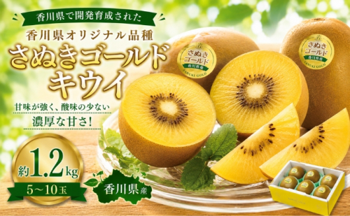 さぬきゴールドキウイ  約1.2kg キフイ フルーツ 果物 香川県 土庄町 2781361 - 香川県土庄町