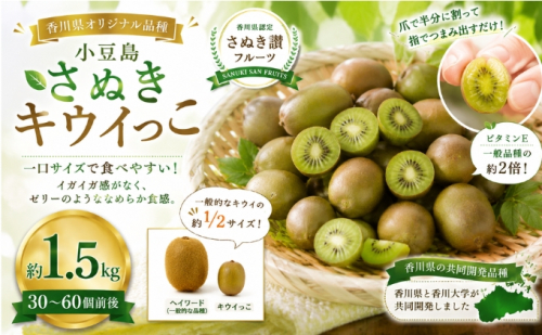 小豆島さぬきキウイっこ  約1.5kg キウイ フルーツ 果物 香川県 土庄町 2781364 - 香川県土庄町