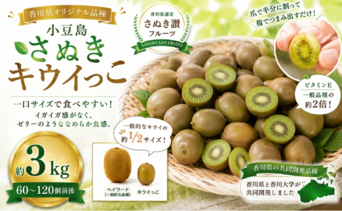 小豆島さぬきキウイっこ 約3kg キウイ フルーツ 果物 香川県 土庄町 2781367 - 香川県土庄町