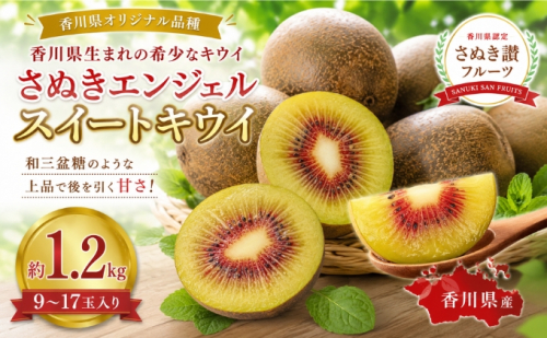 さぬきエンジェル スイートキウイ  約1.2kg キウイ フルーツ 果物 香川県 土庄町 2781369 - 香川県土庄町