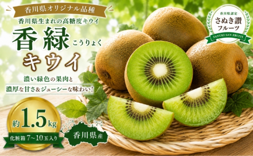 香緑（こうりょく）キウイ  約1.5kg 化粧箱 キウイ フルーツ 果物 香川県 土庄町 2781372 - 香川県土庄町